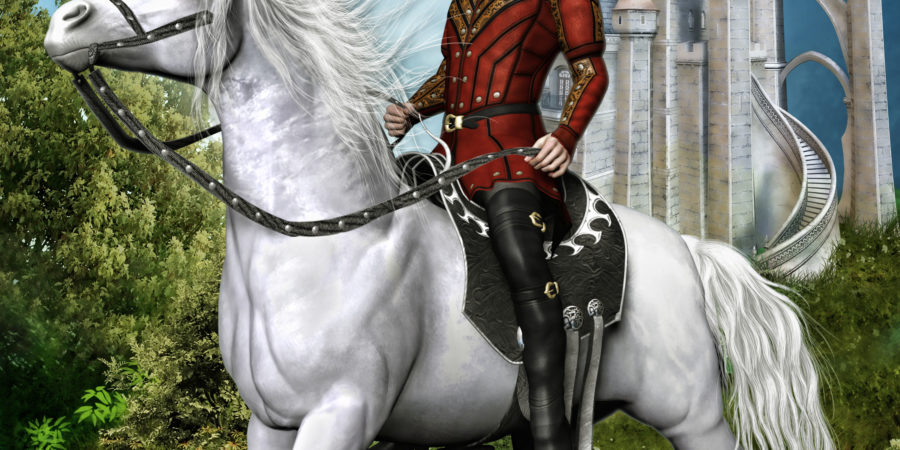 ebook der prinz auf dem fahrrad